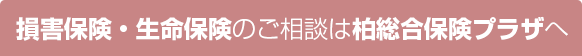 損害保険･生命保険のご相談は柏総合保険プラザへ